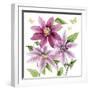 Clematis Climb I-Grace Popp-Framed Art Print