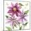 Clematis Climb I-Grace Popp-Mounted Art Print