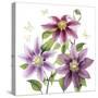 Clematis Climb II-Grace Popp-Stretched Canvas