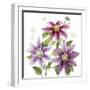 Clematis Climb II-Grace Popp-Framed Art Print