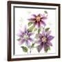 Clematis Climb II-Grace Popp-Framed Art Print