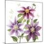 Clematis Climb II-Grace Popp-Mounted Art Print