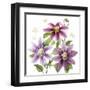 Clematis Climb II-Grace Popp-Framed Art Print