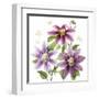 Clematis Climb II-Grace Popp-Framed Art Print