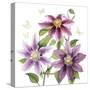 Clematis Climb II-Grace Popp-Stretched Canvas