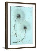 Clematis Flora-Den Reader-Framed Photographic Print