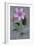 Clematis Hagley-Den Reader-Framed Photographic Print