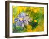 Clematis In The Evening Sun-Mary Smith-Framed Giclee Print