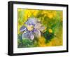 Clematis In The Evening Sun-Mary Smith-Framed Giclee Print