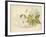 Clematis Jackmanni Alba-null-Framed Giclee Print