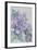 Clematis, Lord Neville-Karen Armitage-Framed Giclee Print