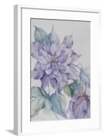 Clematis, Lord Neville-Karen Armitage-Framed Giclee Print