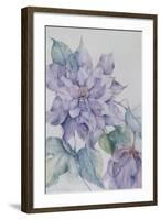 Clematis, Lord Neville-Karen Armitage-Framed Giclee Print