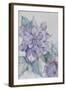 Clematis, Lord Neville-Karen Armitage-Framed Giclee Print