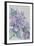 Clematis, Lord Neville-Karen Armitage-Framed Giclee Print