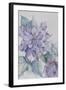 Clematis, Lord Neville-Karen Armitage-Framed Giclee Print