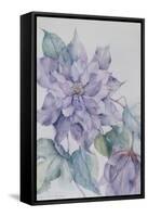 Clematis, Lord Neville-Karen Armitage-Framed Stretched Canvas