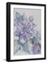 Clematis, Lord Neville-Karen Armitage-Framed Giclee Print