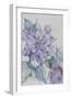 Clematis, Lord Neville-Karen Armitage-Framed Giclee Print