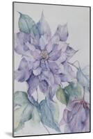 Clematis, Lord Neville-Karen Armitage-Mounted Giclee Print