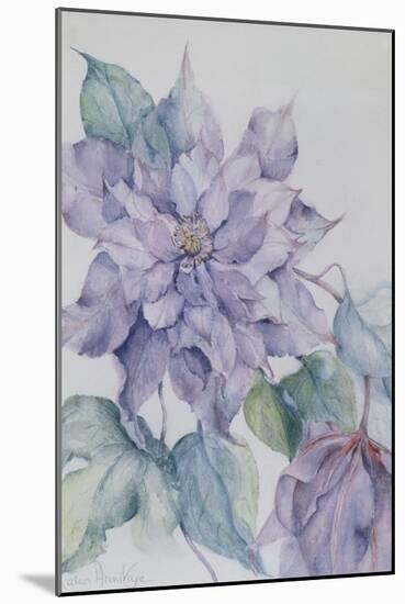 Clematis, Lord Neville-Karen Armitage-Mounted Giclee Print