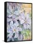 Clematis, the President-Karen Armitage-Framed Stretched Canvas