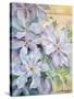 Clematis, the President-Karen Armitage-Stretched Canvas