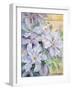 Clematis, the President-Karen Armitage-Framed Giclee Print