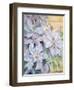 Clematis, the President-Karen Armitage-Framed Giclee Print