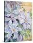 Clematis, the President-Karen Armitage-Stretched Canvas