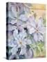 Clematis, the President-Karen Armitage-Stretched Canvas