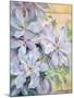 Clematis, the President-Karen Armitage-Mounted Giclee Print