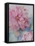 Clematis Vyvyan Penell-Karen Armitage-Framed Stretched Canvas