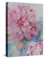 Clematis Vyvyan Penell-Karen Armitage-Stretched Canvas