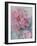 Clematis Vyvyan Penell-Karen Armitage-Framed Giclee Print