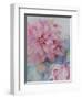 Clematis Vyvyan Penell-Karen Armitage-Framed Giclee Print