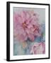 Clematis Vyvyan Penell-Karen Armitage-Framed Giclee Print