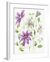 Clematis-Janneke Brinkman-Salentijn-Framed Giclee Print