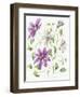 Clematis-Janneke Brinkman-Salentijn-Framed Giclee Print