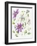 Clematis-Janneke Brinkman-Salentijn-Framed Giclee Print