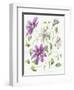 Clematis-Janneke Brinkman-Salentijn-Framed Giclee Print