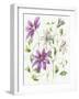 Clematis-Janneke Brinkman-Salentijn-Framed Giclee Print