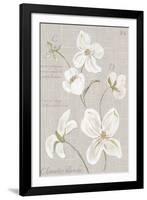 Clematite Blanche-Anne Gerarts-Framed Giclee Print