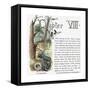 Clemens: Huck Finn-Edward Windsor Kemble-Framed Stretched Canvas