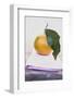 Clementine with Leaf on Tea Towel-Foodcollection-Framed Photographic Print