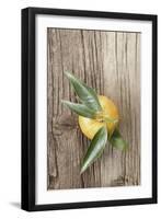 Clementine with Leaves on Wood-Nikky-Framed Premium Photographic Print