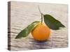 Clementine with Leaves on Wooden Background-null-Stretched Canvas