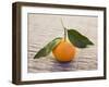 Clementine with Leaves on Wooden Background-null-Framed Photographic Print