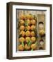 Clementine-Federic Vasseur-Framed Art Print