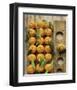 Clementine-Federic Vasseur-Framed Art Print